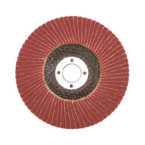 Flap Wheels/Disc - 100x16mm Grit # 80