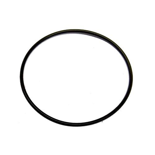 CT18021-O-Ring 69x2-P10