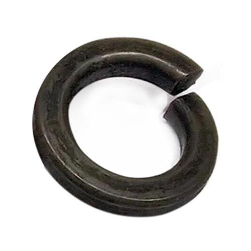 CT18021-Spring Washer M10-P8