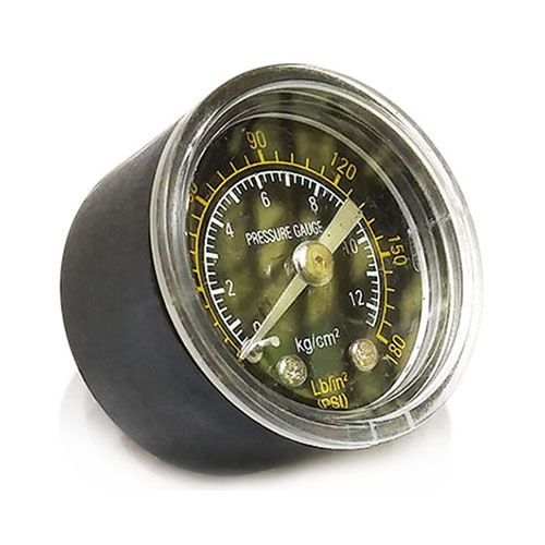 TT2024-Pressure Gauge-P*