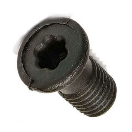 TT1600-Screw-P31