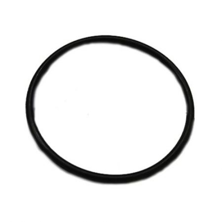 CT18024-O-Ring-P10