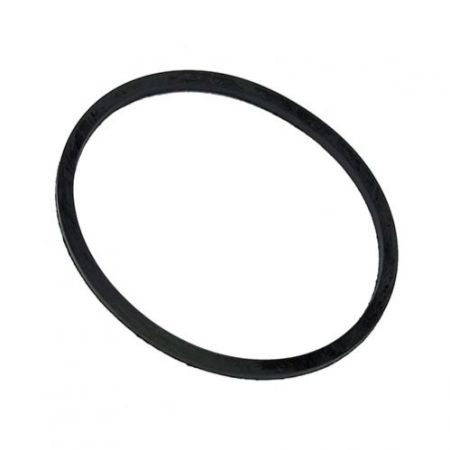 CT31012-Seal Ring-P17