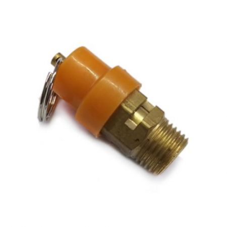 CT36029-Safety Valve-P45