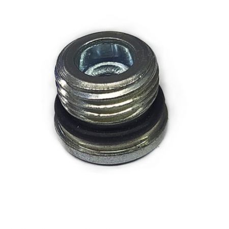 CT42025-Water Valve Plug Screw-P3