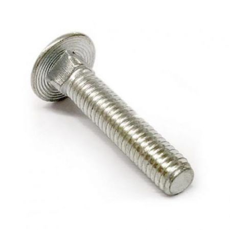 CT14004-Square Neck Bolt-P**