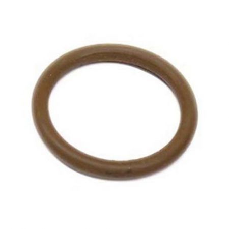 CT18004-O-Ring Dia-19x2-P13