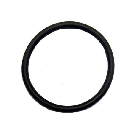 CT18021-O-Ring 43x3-P21