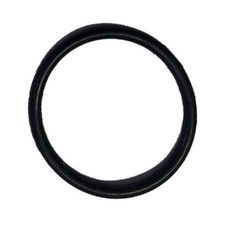 CT18032-O-Ring-P13