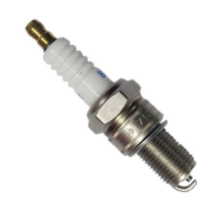 CT34012-Spark Plug(Ld Ngk)-P15