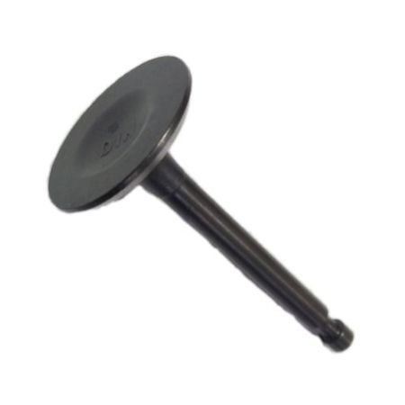 CT34075WE-Intake Valve-P51