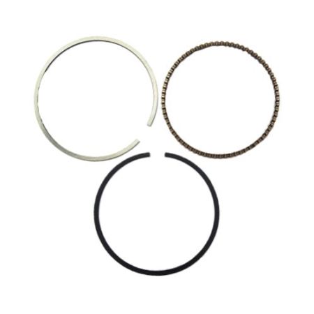 CT34075WE-Piston Ring Set-P79-81